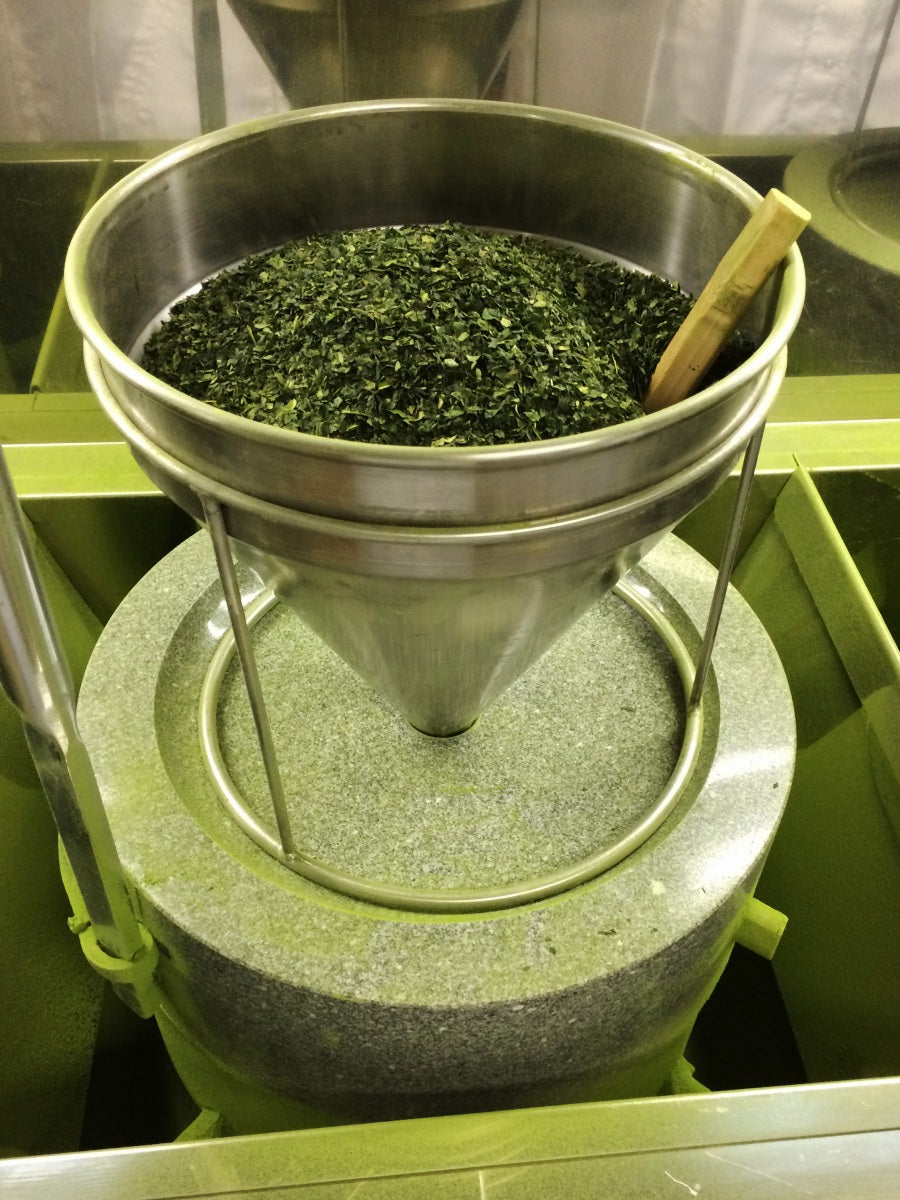 Matcha Pulver BIO - Kostprobe