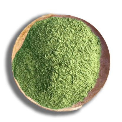 Matcha Pulver BIO - Kostprobe